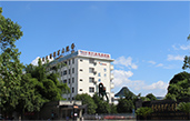 2006